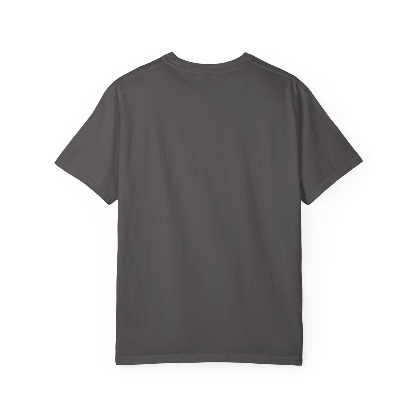 Into the Storm Unisex Garment-Dyed T-shirt