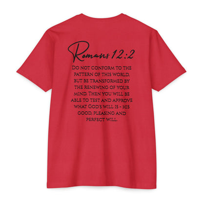 Inspirational Romans 12:2 Unisex T-Shirt, Faith-Based Apparel, Scripture Shirt